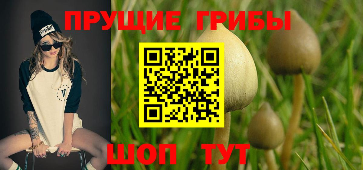 Грязи  Галлюциногенные грибы MAGIC MUSHROOMS  Вход с VPN 