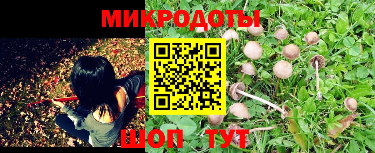 Галлюциногенные грибы Psilocybine cubensis Грязи